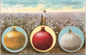 Postal publicitaria vintage de BUCKBEE'S SEEDS de la década de 1910 "Semilla de cebolla llena de vida" - Imagen 1 de 2