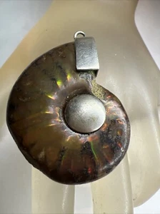 Natural Opalized  Ammonite Fossil Sterling Silver Snail Pendant - Picture 1 of 9