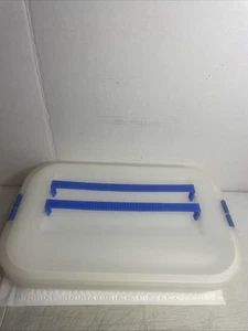 Iris Schwartz Designs 1-74-722 Large Cookie Cake Carrier Cupcake Caddy Storage - Picture 1 of 6