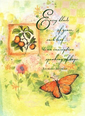 Get Well Feel Better Soon Cheery Butterfly Butterflies BotanicalGreeting Card  - Image 1 of 3