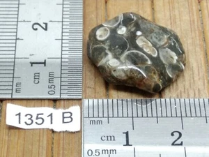 AGATE TURITELLE pierre roulée mineraux lithotherapie collection esoterisme reiki - Imagen 1 de 2