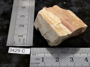 Fossil Holz Rohstein Mineralien Sammlung versteinert Reiki Esoterik Roh - Bild 1 von 3