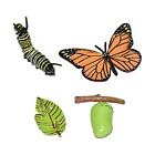 Animal Growth Cycle Set Cake Toppers Puzzle Teaching Tools Birthday Gifts for