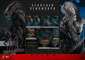 PRESALE COUPON €449,00 Hot Toys ALIEN Romulus SCORCHED XENOMORPH 1/6 Doll FIGURE - Picture 1 of 15