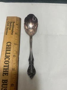 International Deepsilver ORLEANS Silver Plate 1964 Sugar Scalloped Tea Löffel - Bild 1 von 3