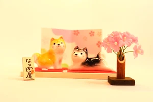 2 Shiba inu~~I cani giapponesi siedono con il fiore Sakura - Imagen 1 de 7