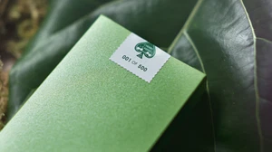 Cherry Casino House Deck Playing Cards (Sahara Green) by Murphys Magic - Picture 1 of 6