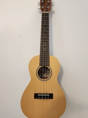 Ohana CK-22Z Solid Top Satin Zebrawood Concert Ukulele with Gig Bag, barely used - Image 1 of 4