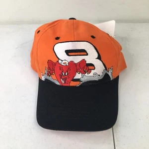 NEW Chase Authentication Looney Tunes Dale Jr 8 Gossamer NASCAR Strap back - Picture 1 of 6