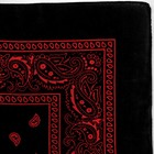 3-Pack Bandana 100% Cotton Paisley Print Double-Sided Scarf Head Neck Face Mask