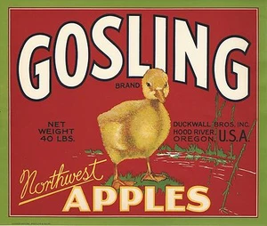 RARE OLD ORIGINAL 1920 "GOSLING BRAND APPLES" BABY GOOSE LABEL HOOD RIVER OREGON - Picture 1 of 1