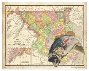 Largemouth Bass Fishing Maryland State Map Art Print Vintage Lures Wall Decor - Picture 1 of 1