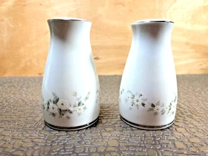 1960's Noritake "Annabelle" 6856 Salt and Pepper Shakers - Picture 1 of 6