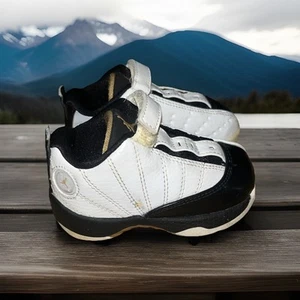 Nike Jordan 12.5 Shoes Sneakers Baby Toddler Size 5 C White Gray 2007 318417-102 - Picture 1 of 24
