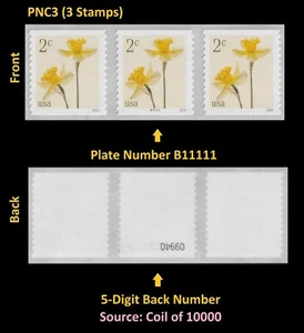 US 5903 Flowers Daffodils 2c #on# PNC3 B11111 5d back # MNH 2024 - Picture 1 of 1