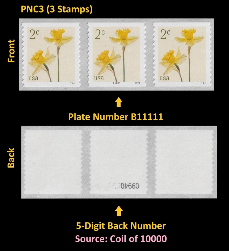 US 5903 Flowers Daffodils 2c #on# PNC3 B11111 5d back # MNH 2024 - Image 1 of 1