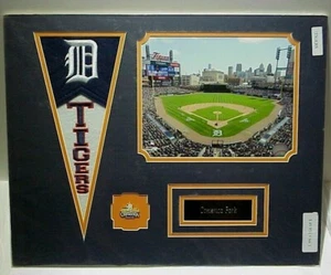 Tigers Comerica Park Photo, Name Plate, Team Pin, Pennant Flag Collage 16x20   - Picture 1 of 1