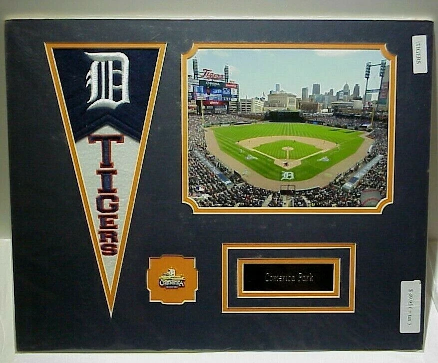 Tigers Comerica Park Photo, Name Plate, Team Pin, Pennant Flag Collage 16x20   - Image 1 of 1