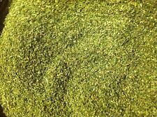 CATNIP BULK FREE SHIPPING, NEW "2024" CROP, DRIED/FRESH/GREEN