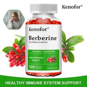 Berberine HCl 500mg - High Potency Berberine Supplement - Blood Sugar Support - Picture 1 of 18