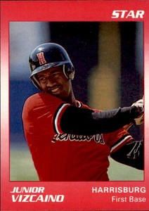 1990 Harrisburg Senators Star #19 Junior Vizcaino Dominican Republic DR Card