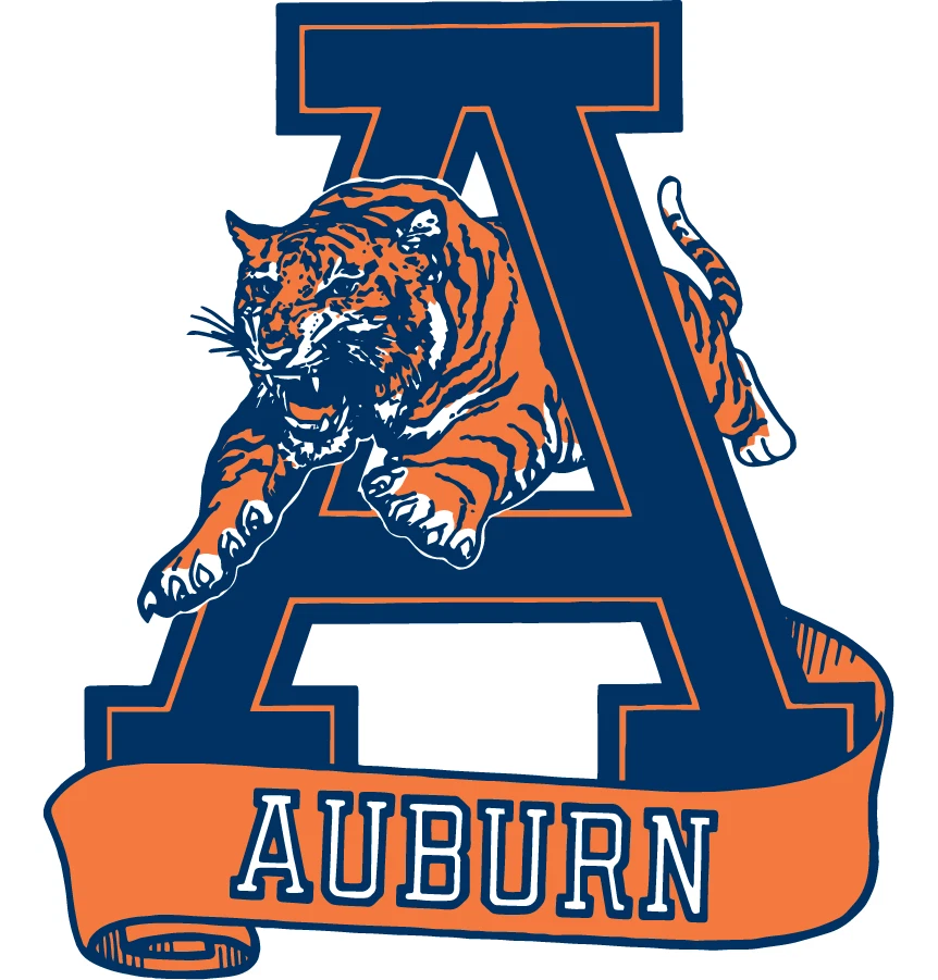 WinCraft Unisex's NCAA 58711081 Auburn University Premium Banderín, 12 X 30 Pulgadas, Colores Del Equipo