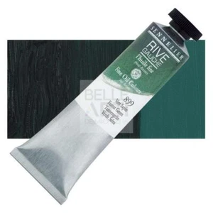 COLORE AD OLIO FINE 899 VERDE ABETE RIVE GAUCHE - SENNELIER - TUBO DA 40ML - Picture 1 of 1