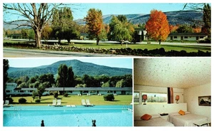 Vintage Postcard Weathervane Motel Manchester Vermont AAA Air Conditioned - Picture 1 of 2