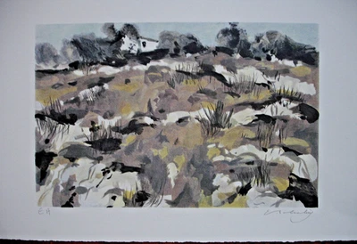 LITHOGRAPHIE EUGENE BABOULÈNE-" EYGALIÈRES"  E A ET SIGNÉ AU CRAYON- 56X38 CM - Photo 1/4