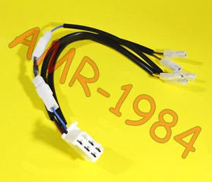 CABLAGGIO ADATTATORE VOLANO DUCATI MALAGUTI RST 50 CODICE 01716200 - Foto 1 di 1