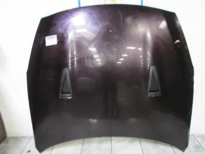 09 10 11 12 13 14 15 16 NISSAN GT-R Hood - Image 1 of 4