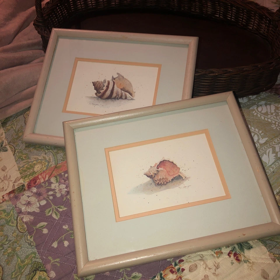 D Morgan Light Wood Framed Conch Seashell Prints (2) Beach Coast Shore Nautical - Image 1 of 4