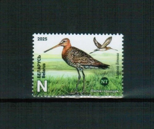 BIELORRUSIA 2025 FAUNA Animales AVES - MNH Foto 1 de 1
