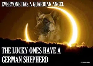 German Shepard refrigerator magnet 3 1/2" x 4 1/2" Made in the USA - Picture 1 of 1