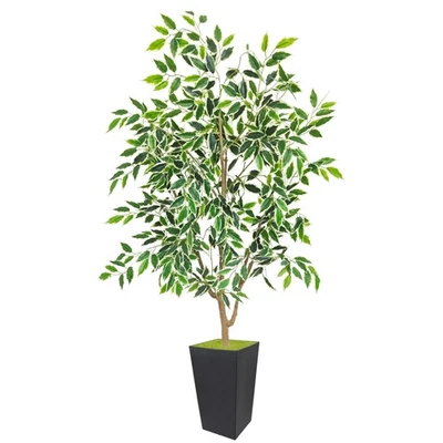 Planta de ficus artificial de 5 pies, árbol falso con maceta alta negra, imitación de ficus lea... Foto 1 de 4