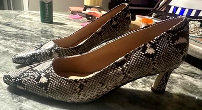 Tacones de salón Steve Madden estampado de leopardo talla 9 ¡Nuevos! ¡Nunca usado! Foto 1 de 4