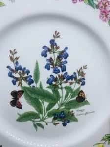 Royal Worcester Fine China Worcester Kräuter Salatteller - 4er Set EUC 8,5" - Bild 1 von 6