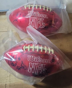 (2) Balones autografiados del Salón de la Fama del Fútbol Profesional firmados a mano - Imagen 1 de 17