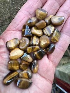 25 x GOLDEN TIGERS EYE POLISHED CRYSTAL SMALL TUMBLE STONES 10mm - 12mm +ID CARD - Picture 1 of 6