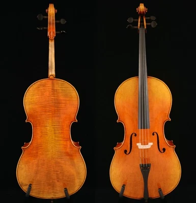 Eccezionale Suono 7/8 Violoncello Stradivari Violoncello Master Work n. W46 - Immagine 1 di 4