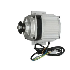 Elektrischer Dreiradmotor DC Bürstenloser Permanentmagnet-Mittelkettenmotor 24V - Picture 1 of 18