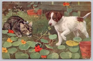 1909 Tuck Oilette "When Cats Are Kittens" Series 9538 Tabby, Bumblebee Postcard - Picture 1 of 3