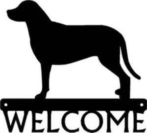 Cane da montagna svizzero più grande - insegna di benvenuto per cani - Made in America - arredamento esterno - Foto 1 di 4