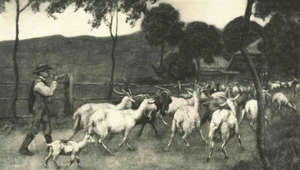 Hans THOMA - ZIEGENHERDE - original KUPFERSTICH um 1900 - Picture 1 of 1