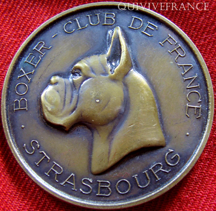 MED3137 - MEDAILLE BOXER CLUB DE FRANCE STRASBOURG - FRENCH MEDAL - Photo 1/1