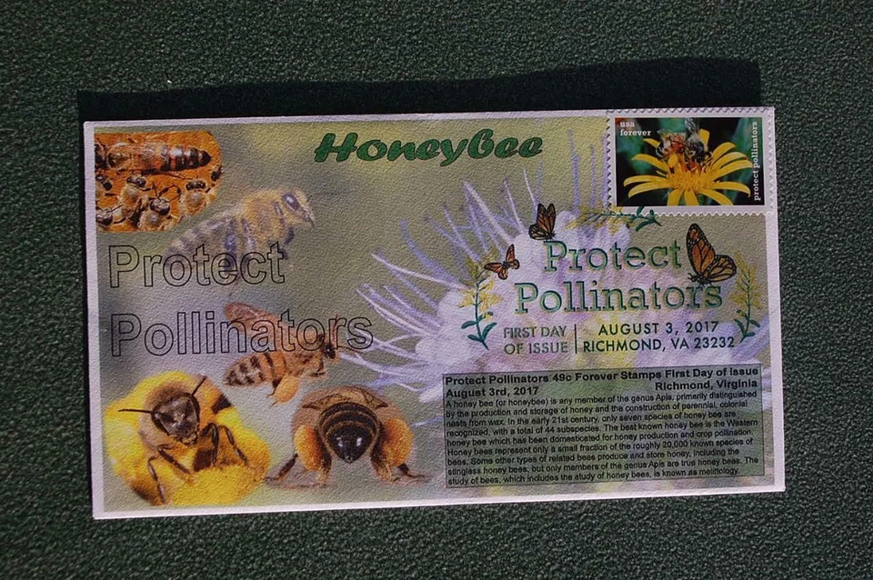 Protect Pollinators Honey Bee 49c Stamp FDC Bullfrog Cachet Sc#5229 14589 DCP - Image 1 of 1