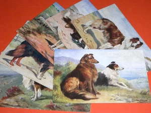 ORIGINAL  SET OF SIX  NORAH DRUMMOND SIGNED TUCK DOG POSTCARDS - SCOTCH COLLIES. - Picture 1 of 5