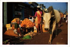 CPM Goa Mapusa escena de mercado INDIA (1182636) - Imagen 1 de 2