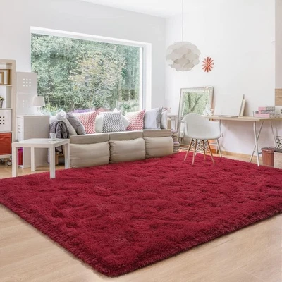 Fluffy Area Rugs Large Soft Non-Slip Plush Shag Carpet Mat for Living Room Floor - Image 1 of 4