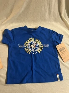 Levi Strauss Infant Boys 12 Months Blue T-Shirt - Picture 1 of 5